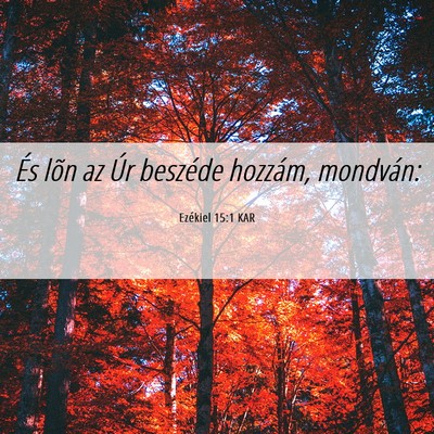 Picture 06 - Ezékiel 15:1 KAR - És lõn az Úr beszéde hozzám, - Bible Verse Picture