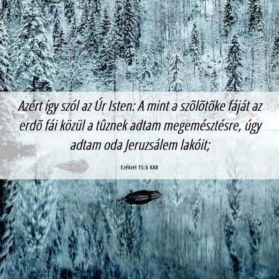 Picture 06 - Ezékiel 15:6 KAR - Azért így szól az Úr Isten: A mint a - Bible Verse Picture