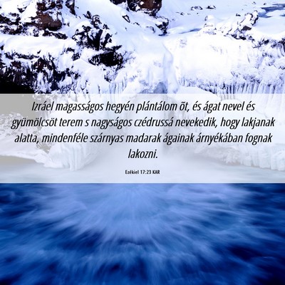 Picture 06 - Ezékiel 17:23 KAR - Izráel magasságos hegyén plántálom õt, és - Bible Verse Picture
