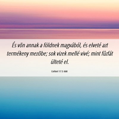 Picture 06 - Ezékiel 17:5 KAR - És võn annak a földnek magvából, és elveté - Bible Verse Picture