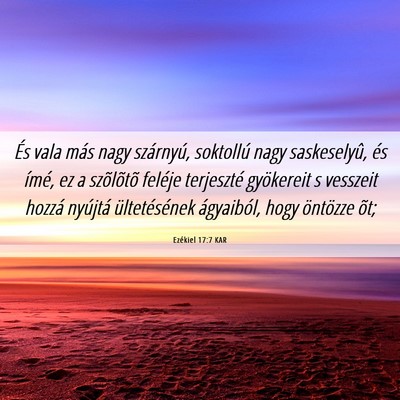 Picture 06 - Ezékiel 17:7 KAR - És vala más nagy szárnyú, soktollú nagy - Bible Verse Picture
