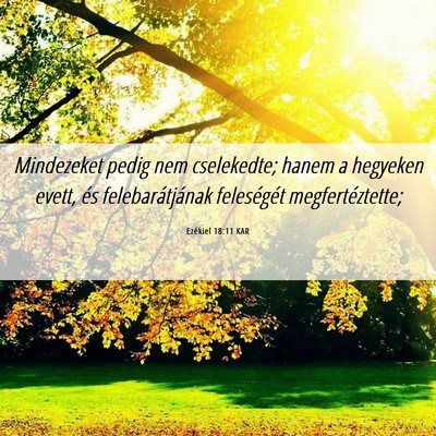 Picture 06 - Ezékiel 18:11 KAR - Mindezeket pedig nem cselekedte; hanem a hegyeken - Bible Verse Picture
