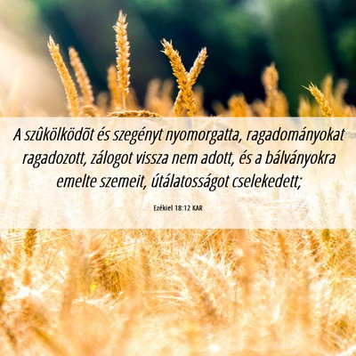 Picture 06 - Ezékiel 18:12 KAR - A szûkölködõt és szegényt nyomorgatta, - Bible Verse Picture