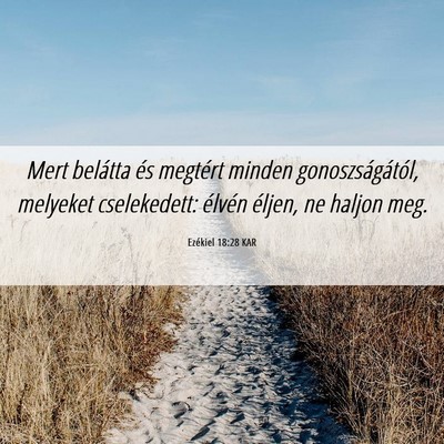 Picture 06 - Ezékiel 18:28 KAR - Mert belátta és megtért minden - Bible Verse Picture