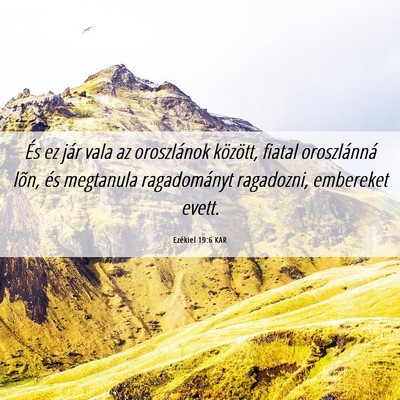 Picture 06 - Ezékiel 19:6 KAR - És ez jár vala az oroszlánok között, fiatal - Bible Verse Picture