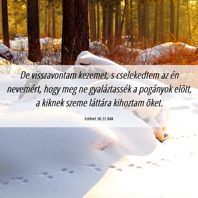 Picture 06 - Ezékiel 20:22 KAR - De visszavontam kezemet, s cselekedtem az én - Bible Verse Picture