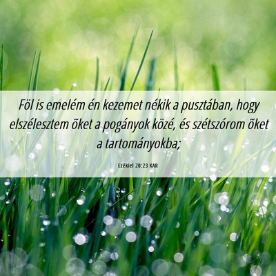 Picture 06 - Ezékiel 20:23 KAR - Föl is emelém én kezemet nékik a pusztában, - Bible Verse Picture