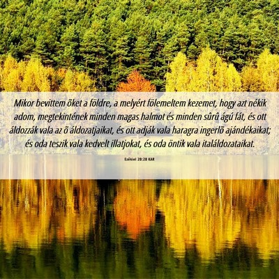 Picture 06 - Ezékiel 20:28 KAR - Mikor bevittem õket a földre, a melyért - Bible Verse Picture