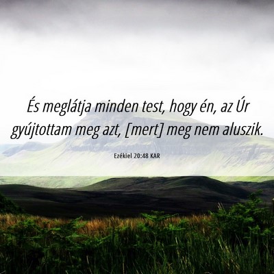 Picture 06 - Ezékiel 20:48 KAR - És meglátja minden test, hogy én, az Úr - Bible Verse Picture
