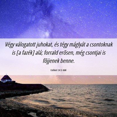 Picture 06 - Ezékiel 24:5 KAR - Végy válogatott juhokat, és tégy máglyát a - Bible Verse Picture