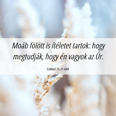 Picture 06 - Ezékiel 25:11 KAR - Moáb fölött is ítéletet tartok: hogy - Bible Verse Picture