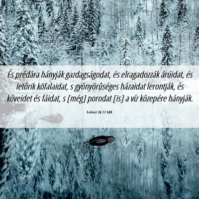 Picture 06 - Ezékiel 26:12 KAR - És prédára hányják gazdagságodat, és - Bible Verse Picture