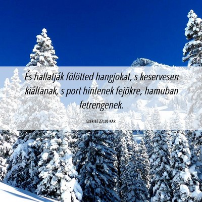 Picture 06 - Ezékiel 27:30 KAR - És hallatják fölötted hangjokat, s keservesen - Bible Verse Picture