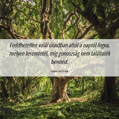 Picture 06 - Ezékiel 28:15 KAR - Feddhetetlen valál útaidban attól a naptól - Bible Verse Picture