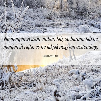 Picture 06 - Ezékiel 29:11 KAR - Ne menjen át azon emberi láb, se baromi láb ne - Bible Verse Picture