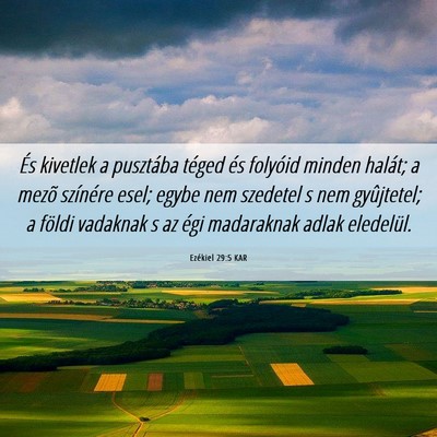 Picture 06 - Ezékiel 29:5 KAR - És kivetlek a pusztába téged és folyóid - Bible Verse Picture