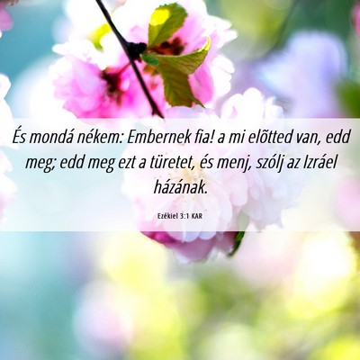 Picture 06 - Ezékiel 3:1 KAR - És mondá nékem: Embernek fia! a mi elõtted - Bible Verse Picture