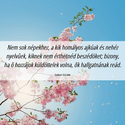 Picture 06 - Ezékiel 3:6 KAR - Nem sok népekhez, a kik homályos ajkúak és - Bible Verse Picture
