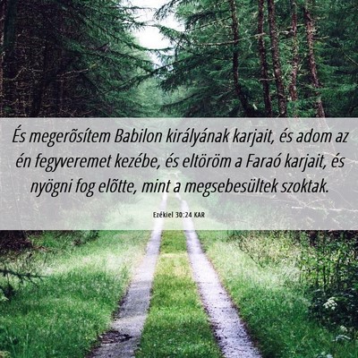 Picture 06 - Ezékiel 30:24 KAR - És megerõsítem Babilon királyának karjait, - Bible Verse Picture