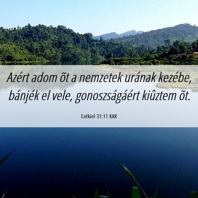 Picture 06 - Ezékiel 31:11 KAR - Azért adom õt a nemzetek urának kezébe, - Bible Verse Picture