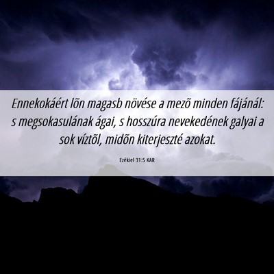 Picture 06 - Ezékiel 31:5 KAR - Ennekokáért lõn magasb növése a mezõ minden - Bible Verse Picture