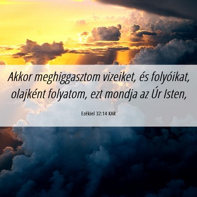Picture 06 - Ezékiel 32:14 KAR - Akkor meghiggasztom vizeiket, és folyóikat, - Bible Verse Picture