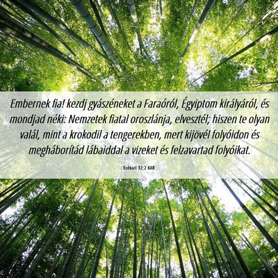 Picture 06 - Ezékiel 32:2 KAR - Embernek fia! kezdj gyászéneket a Faraóról, - Bible Verse Picture
