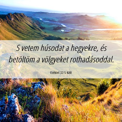 Picture 06 - Ezékiel 32:5 KAR - S vetem húsodat a hegyekre, és betöltöm a - Bible Verse Picture