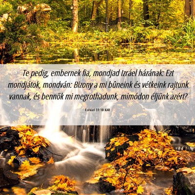 Picture 06 - Ezékiel 33:10 KAR - Te pedig, embernek fia, mondjad Izráel - Bible Verse Picture