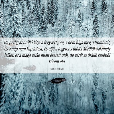 Picture 06 - Ezékiel 33:6 KAR - Ha pedig az õrálló látja a fegyvert jõni, s - Bible Verse Picture