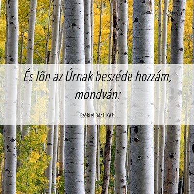 Picture 06 - Ezékiel 34:1 KAR - És lõn az Úrnak beszéde hozzám, - Bible Verse Picture