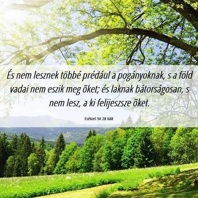 Picture 06 - Ezékiel 34:28 KAR - És nem lesznek többé prédául a pogányoknak, - Bible Verse Picture