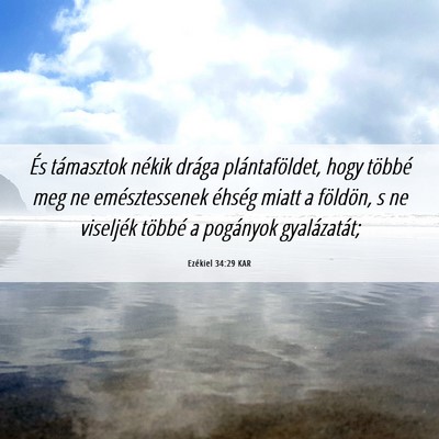 Picture 06 - Ezékiel 34:29 KAR - És támasztok nékik drága plántaföldet, hogy - Bible Verse Picture