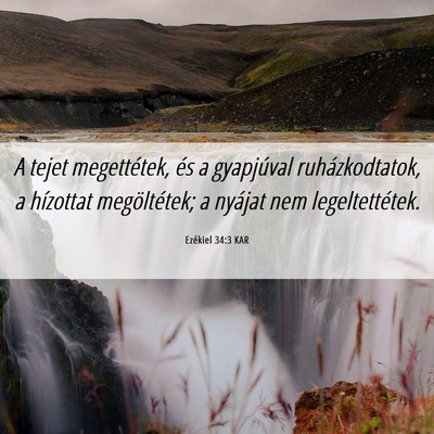 Picture 06 - Ezékiel 34:3 KAR - A tejet megettétek, és a gyapjúval - Bible Verse Picture