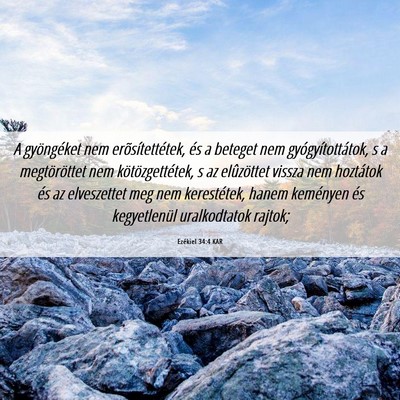 Picture 06 - Ezékiel 34:4 KAR - A gyöngéket nem erõsítettétek, és a beteget - Bible Verse Picture