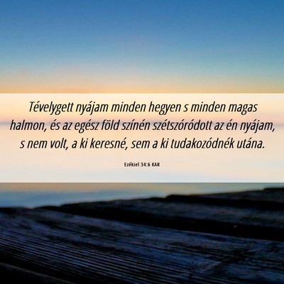Picture 06 - Ezékiel 34:6 KAR - Tévelygett nyájam minden hegyen s minden magas - Bible Verse Picture