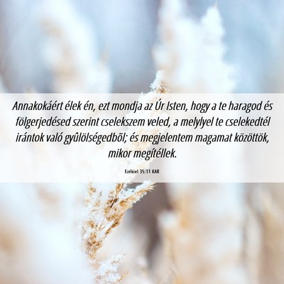 Picture 06 - Ezékiel 35:11 KAR - Annakokáért élek én, ezt mondja az Úr Isten, - Bible Verse Picture