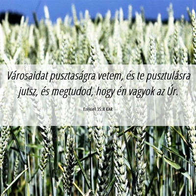 Picture 06 - Ezékiel 35:4 KAR - Városaidat pusztaságra vetem, és te - Bible Verse Picture