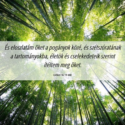 Picture 06 - Ezékiel 36:19 KAR - És eloszlatám õket a pogányok közé, és - Bible Verse Picture
