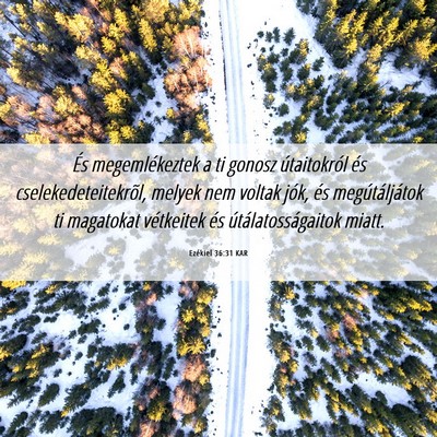 Picture 06 - Ezékiel 36:31 KAR - És megemlékeztek a ti gonosz útaitokról és - Bible Verse Picture