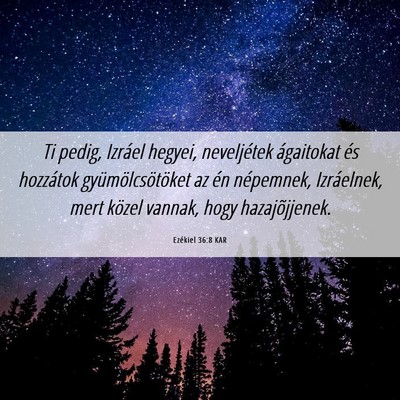 Picture 06 - Ezékiel 36:8 KAR - Ti pedig, Izráel hegyei, neveljétek ágaitokat - Bible Verse Picture