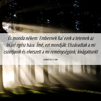 Picture 06 - Ezékiel 37:11 KAR - És monda nékem: Embernek fia! ezek a tetemek az - Bible Verse Picture