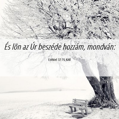 Picture 06 - Ezékiel 37:15 KAR - És lõn az Úr beszéde hozzám, - Bible Verse Picture