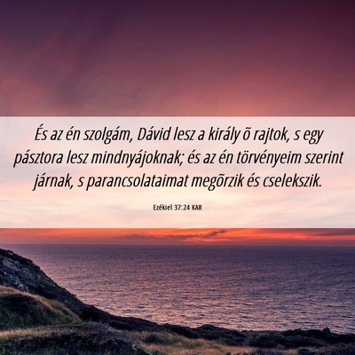 Picture 06 - Ezékiel 37:24 KAR - És az én szolgám, Dávid lesz a király õ - Bible Verse Picture
