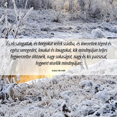 Picture 06 - Ezékiel 38:4 KAR - És elcsalogatlak, és horgokat vetek szádba, - Bible Verse Picture