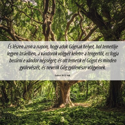 Picture 06 - Ezékiel 39:11 KAR - És lészen azon a napon, hogy adok Gógnak - Bible Verse Picture