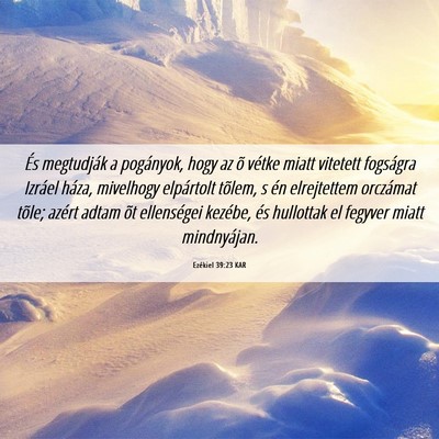 Picture 06 - Ezékiel 39:23 KAR - És megtudják a pogányok, hogy az õ vétke - Bible Verse Picture