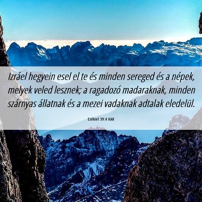 Picture 06 - Ezékiel 39:4 KAR - Izráel hegyein esel el te és minden sereged és - Bible Verse Picture