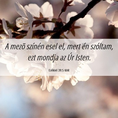 Picture 06 - Ezékiel 39:5 KAR - A mezõ színén esel el, mert én szóltam, ezt - Bible Verse Picture