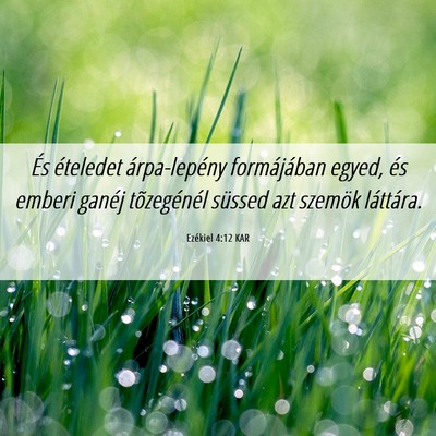 Picture 06 - Ezékiel 4:12 KAR - És ételedet árpa-lepény formájában egyed, - Bible Verse Picture